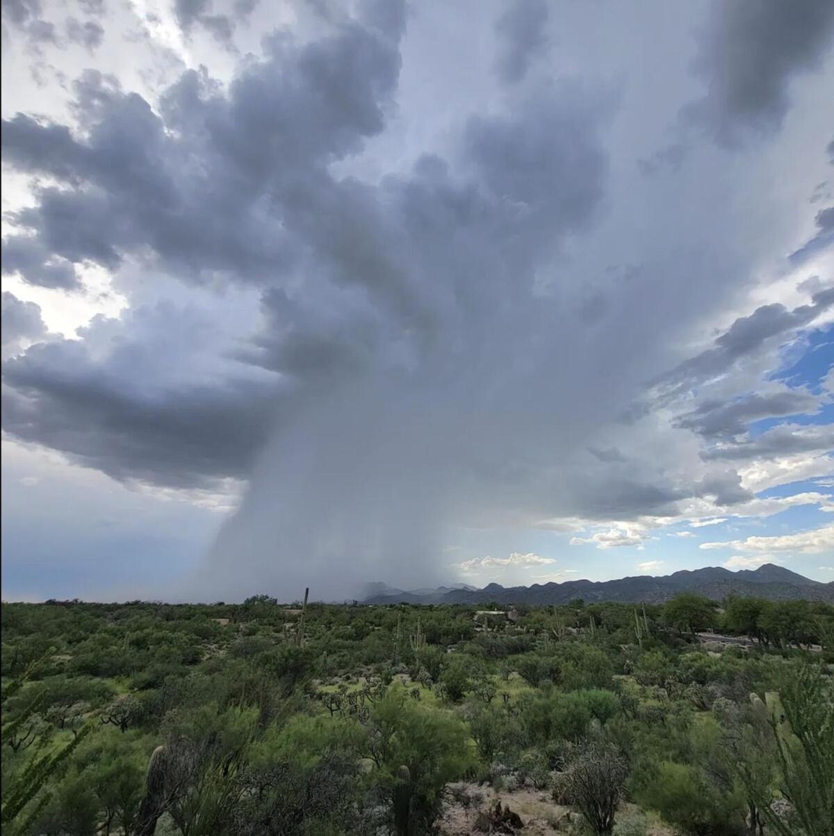 Luxury 3Bd 2Ba Home Near Tucson With Desert Views - Low Summer Rates! Oro Valley Esterno foto