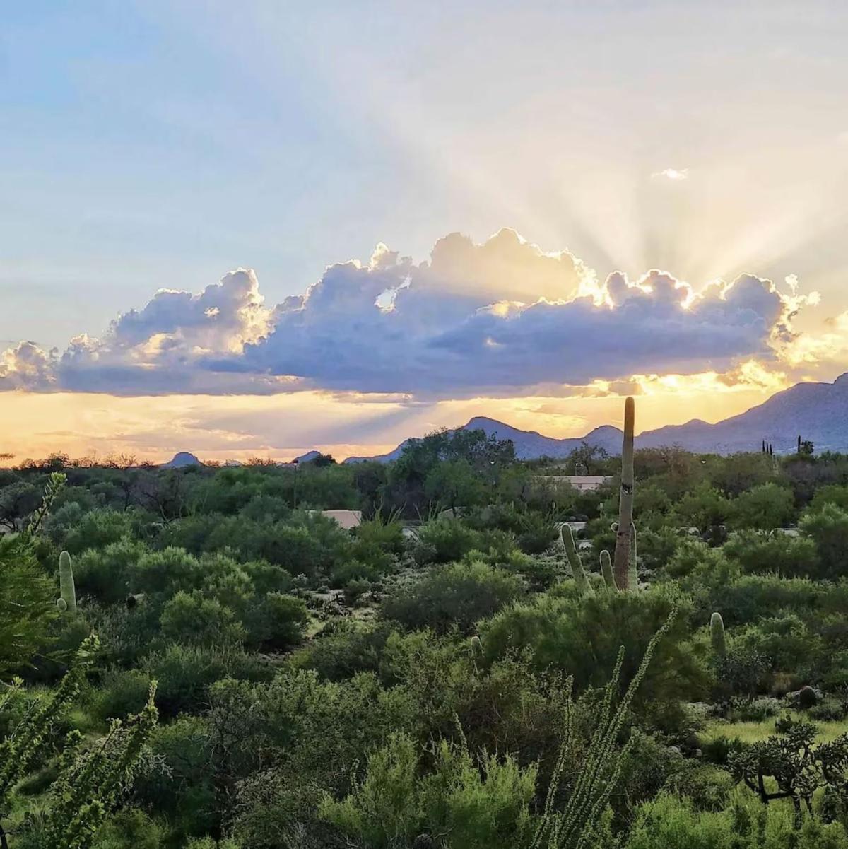 Luxury 3Bd 2Ba Home Near Tucson With Desert Views - Low Summer Rates! Oro Valley Esterno foto